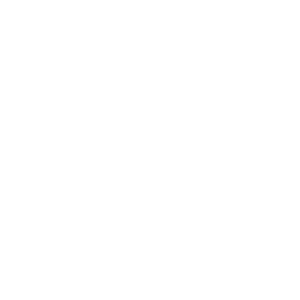 white cropped scherer logo